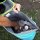 Overboard Soft Cooler Bag 30 Litres
