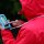 OverBoard wasserdichte Handy iPhone Tasche SMALL